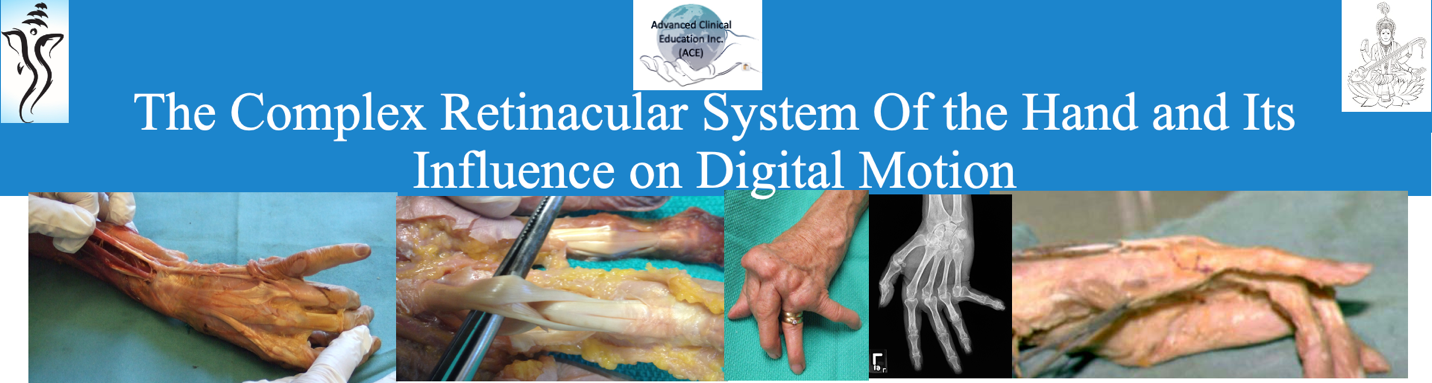 The Complex Retinacular System of the Hand and its Influence on Digital Motion